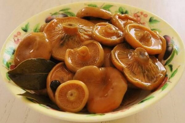 Жареные рыжики - лучшие идеи приготовления вкусных грибных блюд