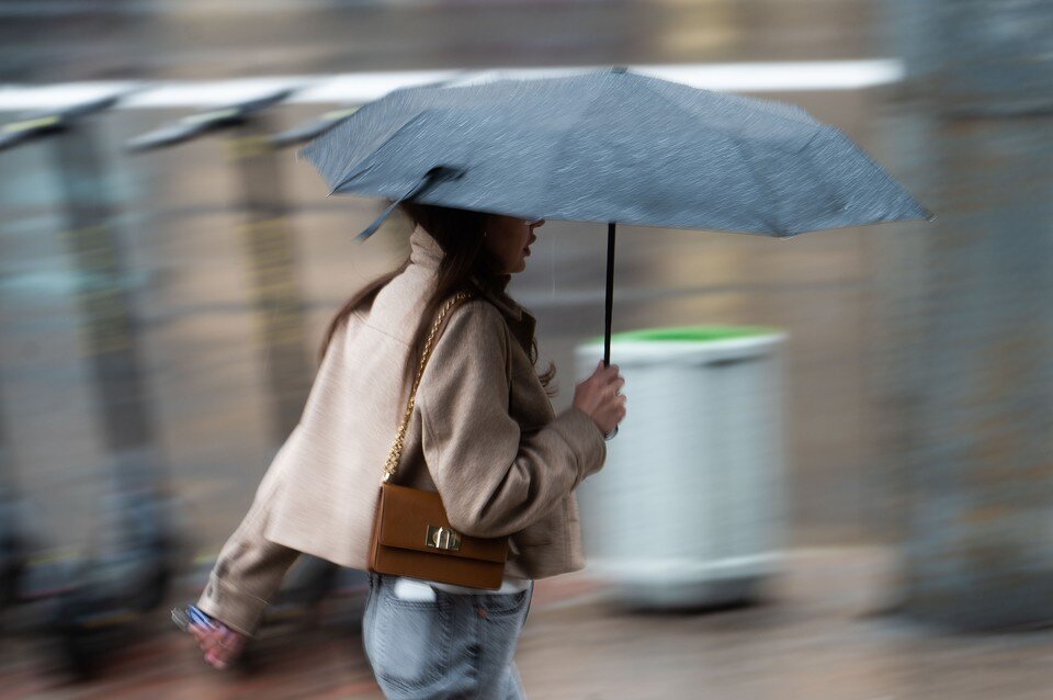     Конец сентября в Петербурге станет холодным и дождливым Юлия ПЫХАЛОВА