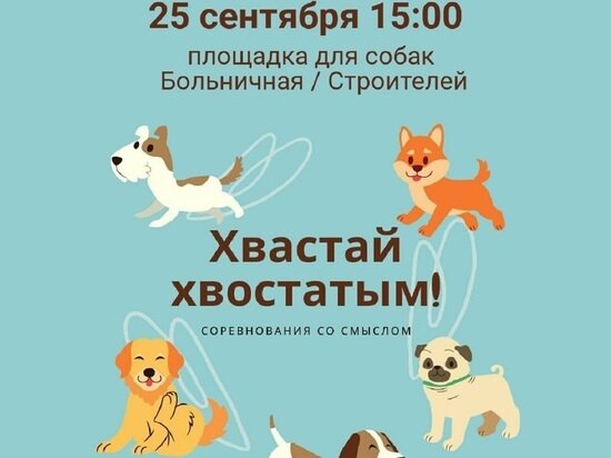     Фото: vk.com Администрация города Лабытнанги