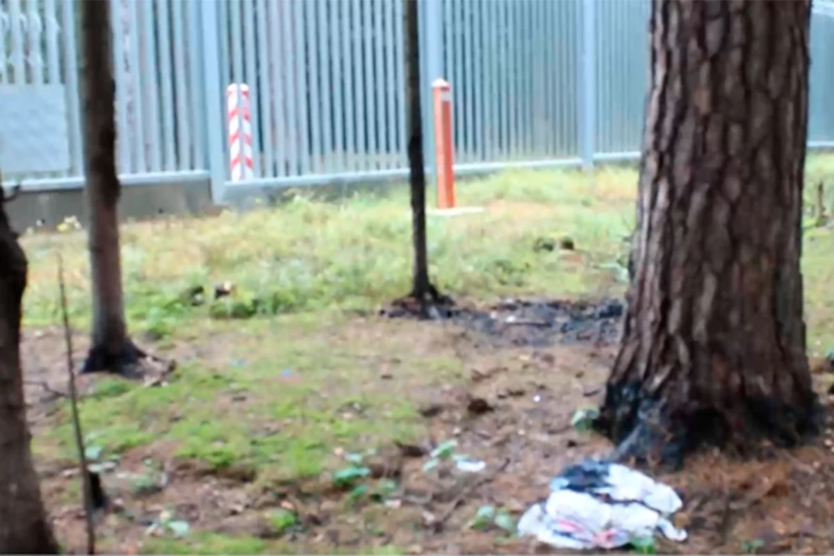 Скриншот из видео Госпогранкомитета Беларуси 