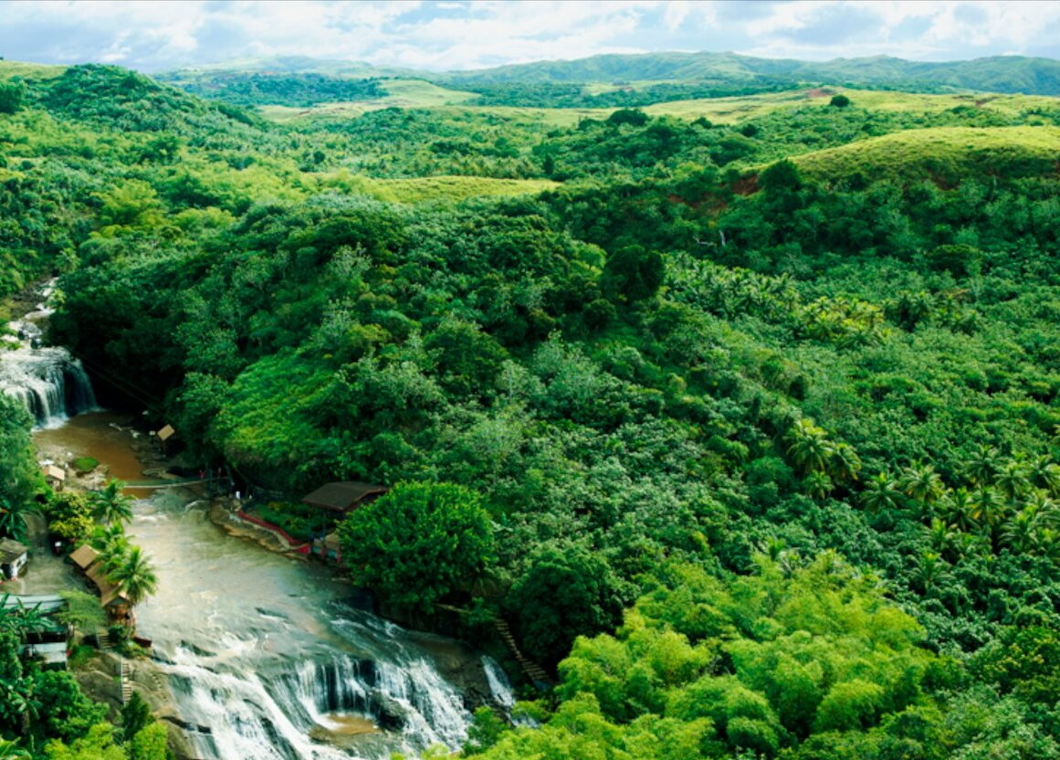 В джунглях Гуама есть место и проклятым руинам.
Источник фото: https://a.travel-assets.com/findyours-php/viewfinder/images/res60/51000/51605-Guam.jpg