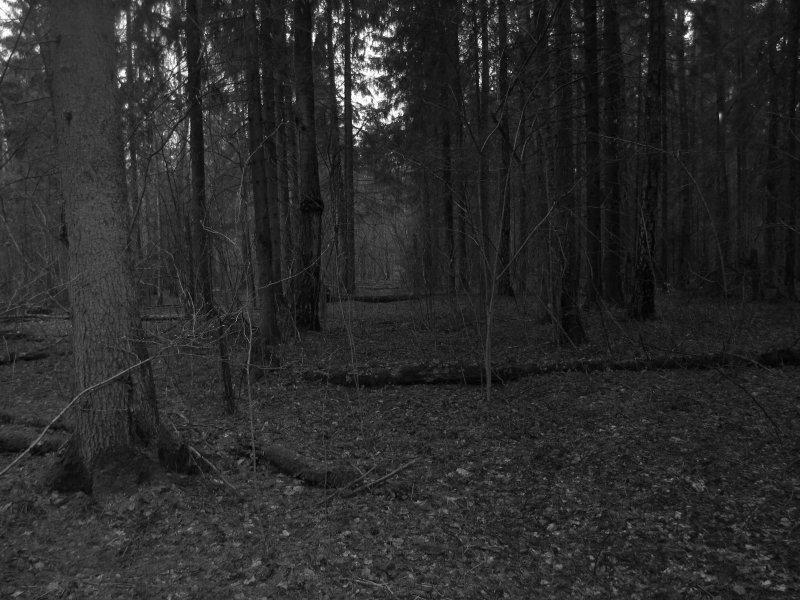 Фото из открытых источников.