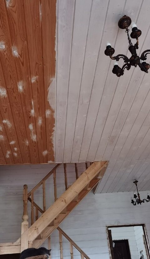 Вид на потолок с дивана. Справа краска в один слой. Слева пока только зашпаклёванные сучки