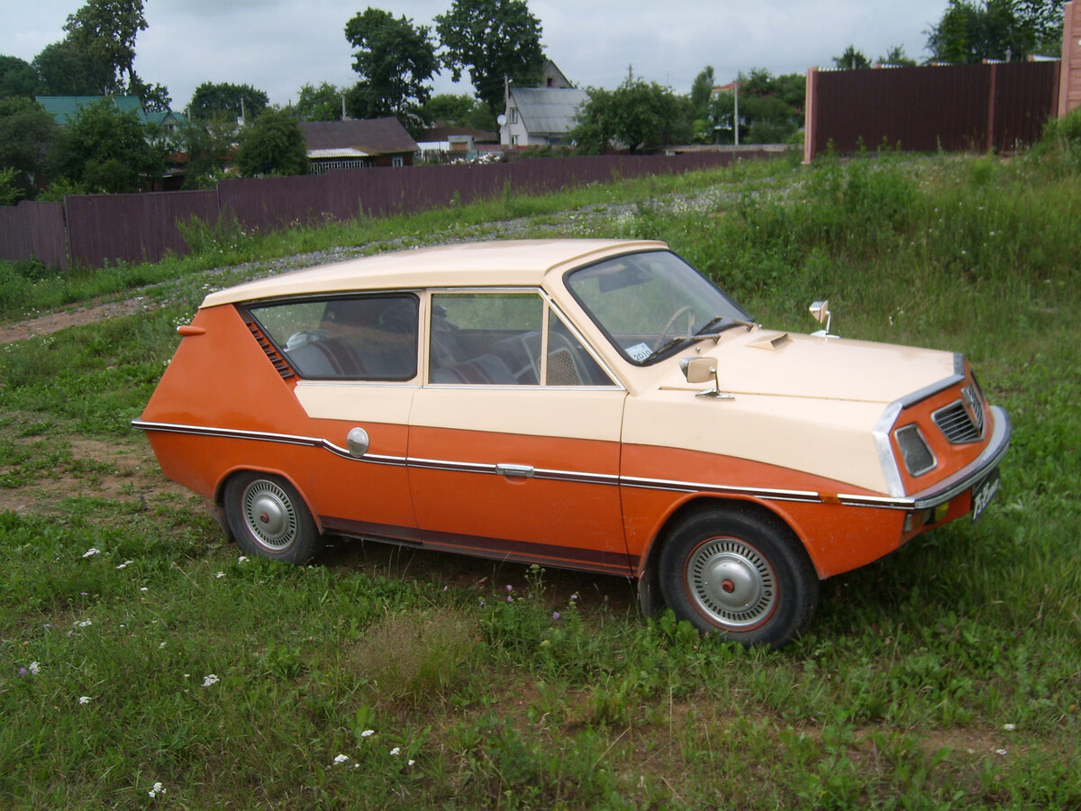 САМАВТО муравей