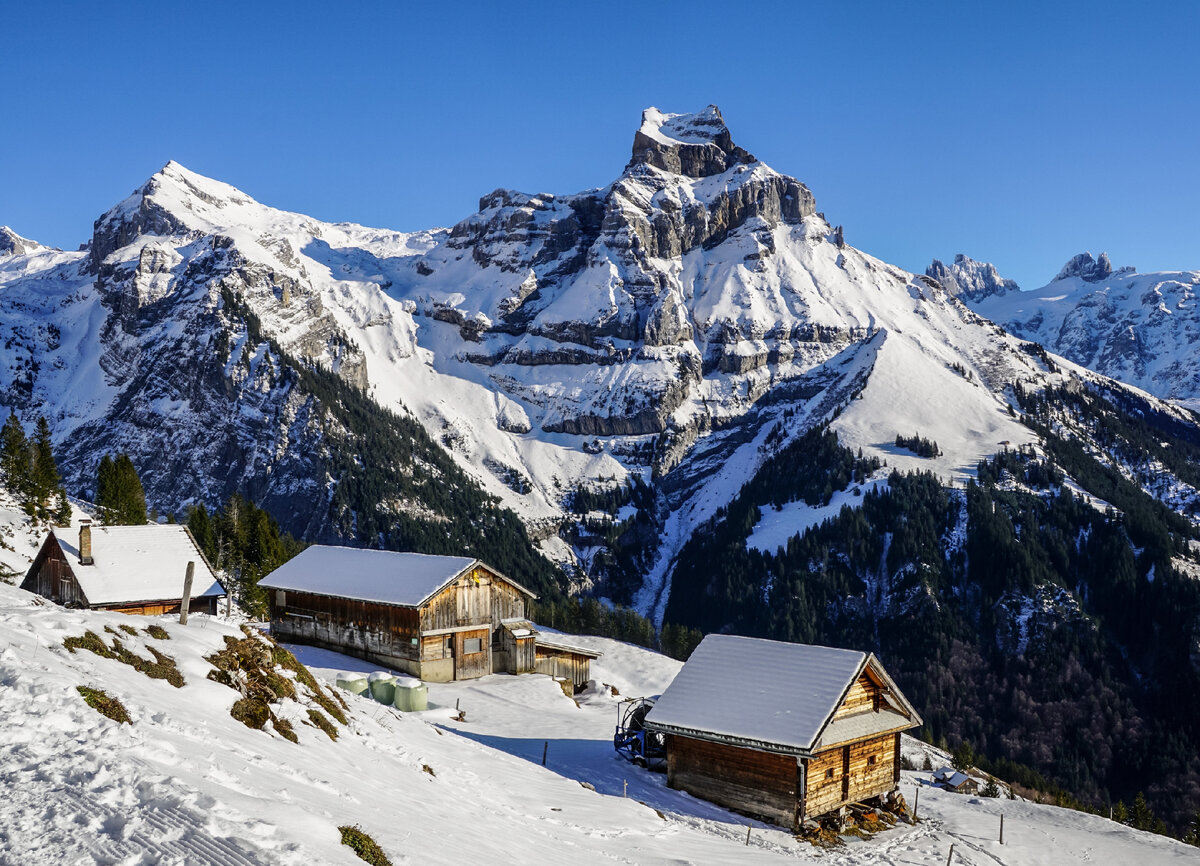 В Альпах обитает несколько видов криптидов.
Источник фото: https://www.nastol.com.ua/images/202001/nastol.com.ua_379079.jpg