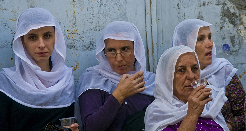 Фото: Shutterstock 