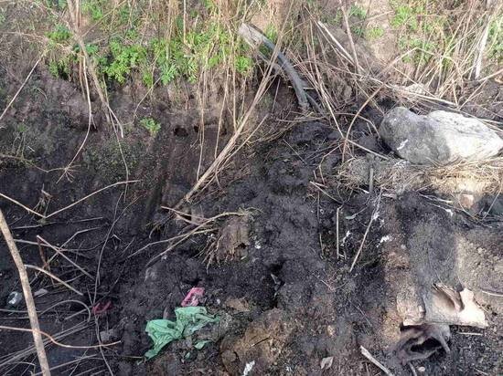     Фото ГУ МВД России по Красноярскому краю