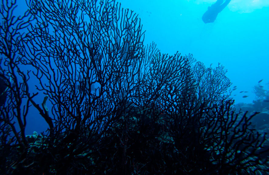 Источник: yandex.ru 