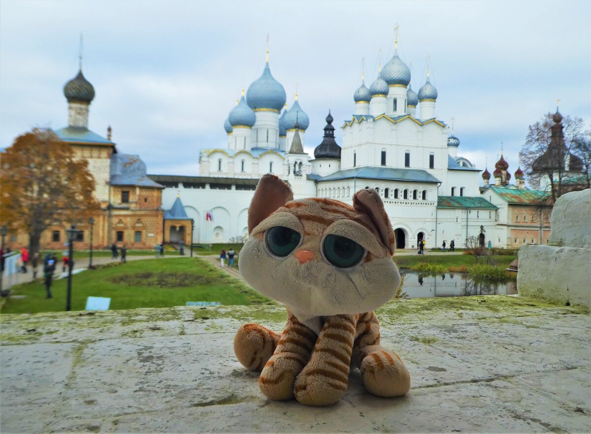 Сижу на крыльце, где Иван Васильевич менял профессию, думаю-думаю: может, переквалифицироваться из кота-путешественника в управдомы?:)