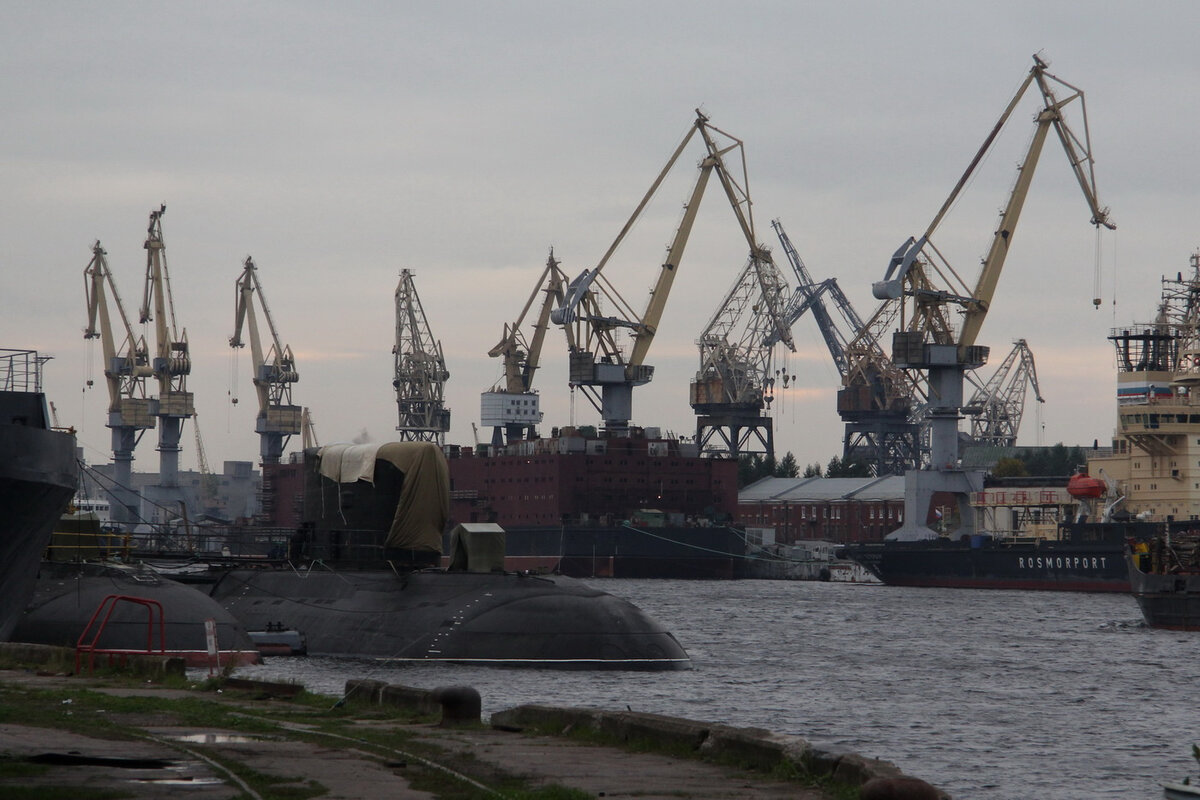   
 Фото: Михаил Огнев/«Фонтанка.ру»