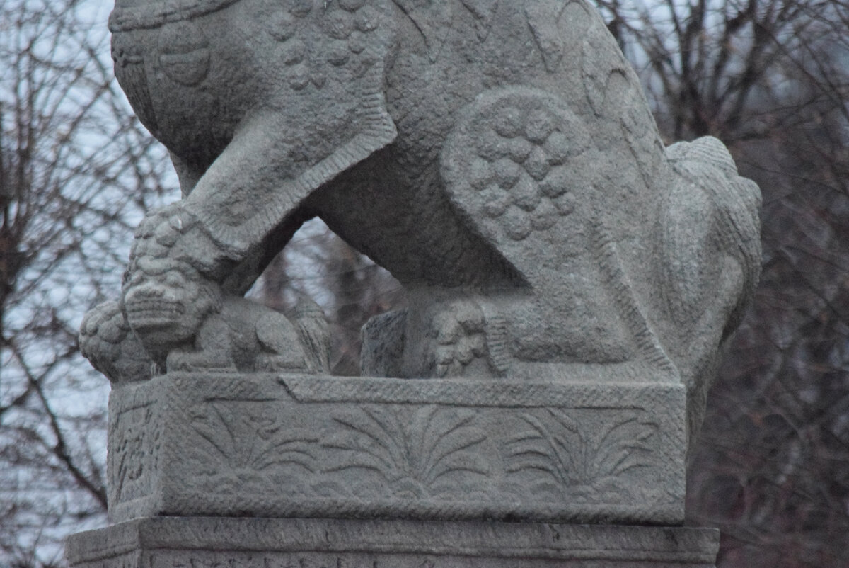 У которого просто "голливудская улыбка"