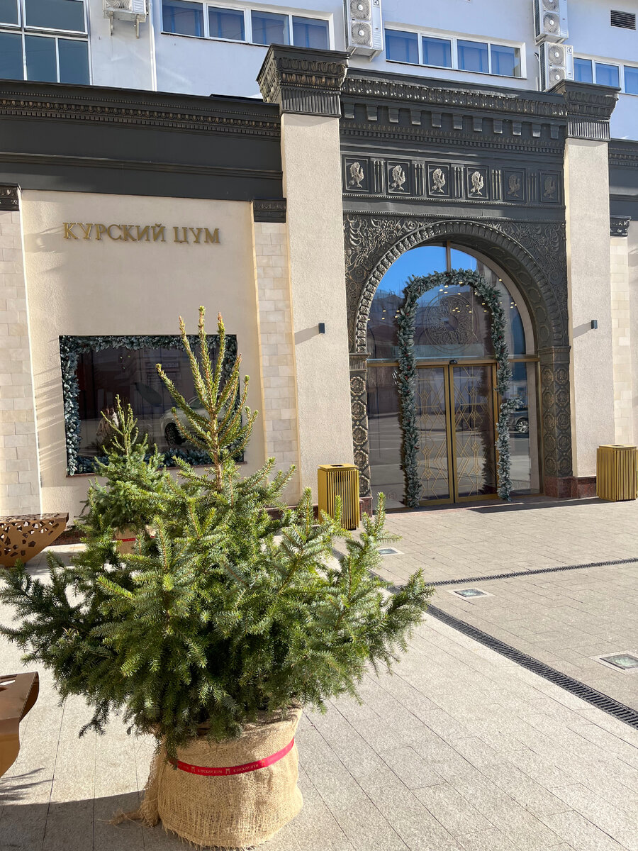 Курский ЦУМ. Тут есть даже брендовые магазины.