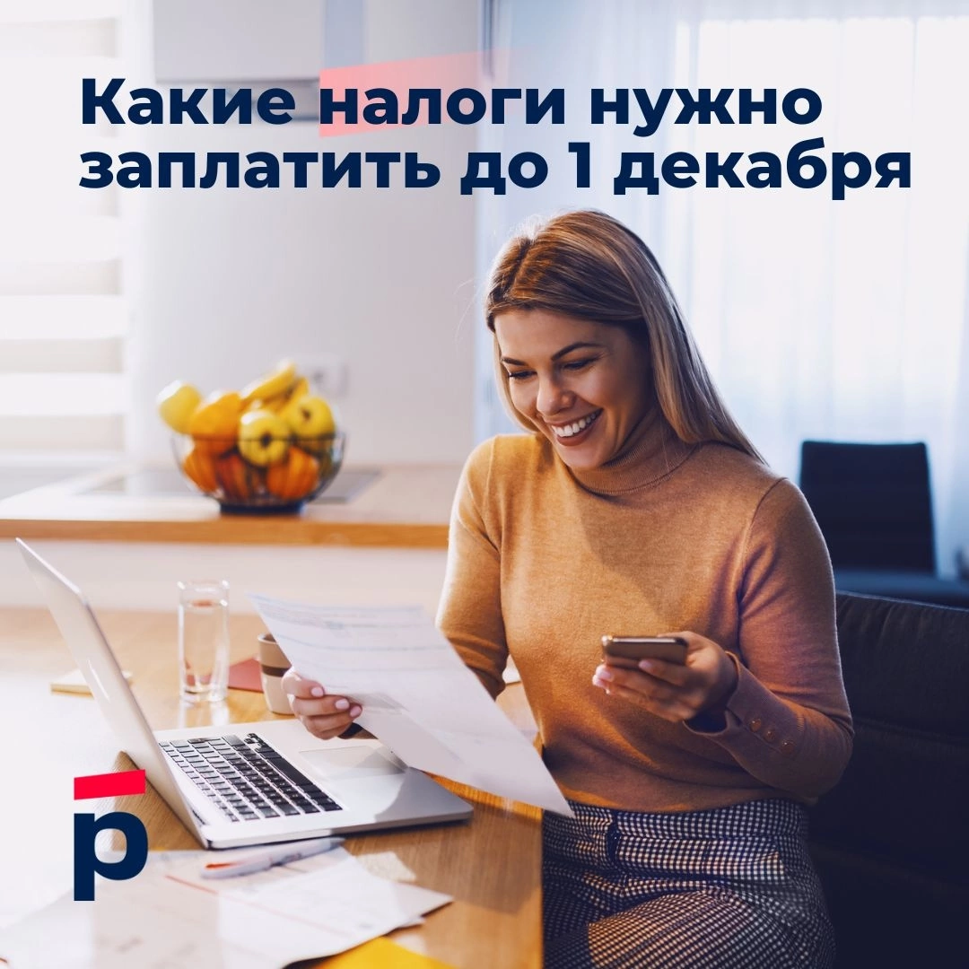 Оплати налоги до 1 декабря. Долги по налогам надо платить. Заплати налоги до 1 декабря 2022.