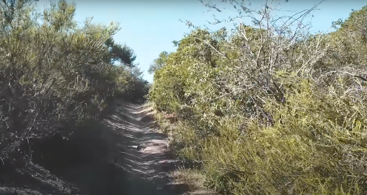 Типичное место, в котором змея может создать пробку