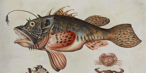 Фото: wikimedia commons