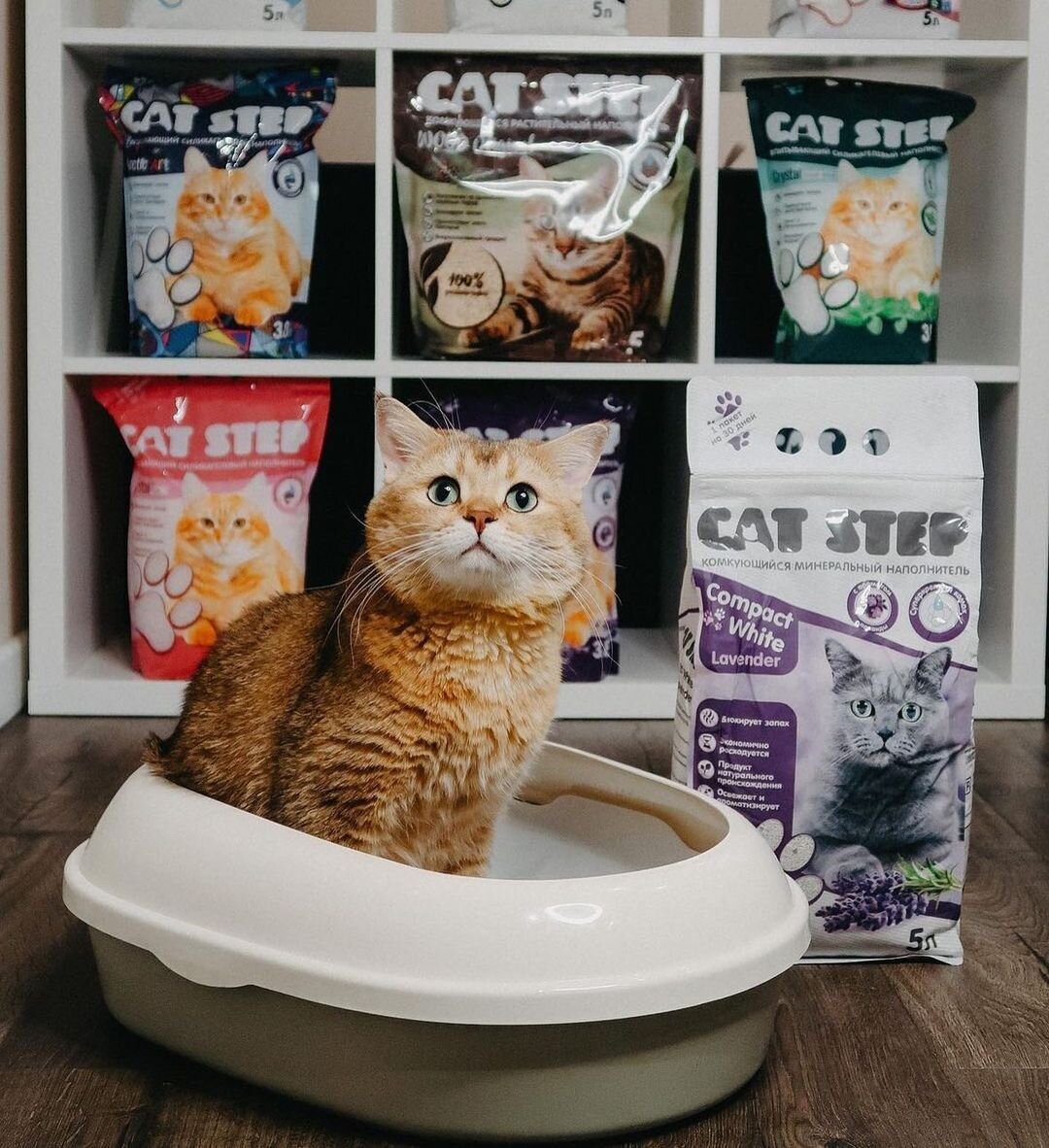 На фото – впитывающие и комкующиеся наполнители CAT STEP из силикагелевого, минерального и растительного сырья. Автор фото – imartycat.