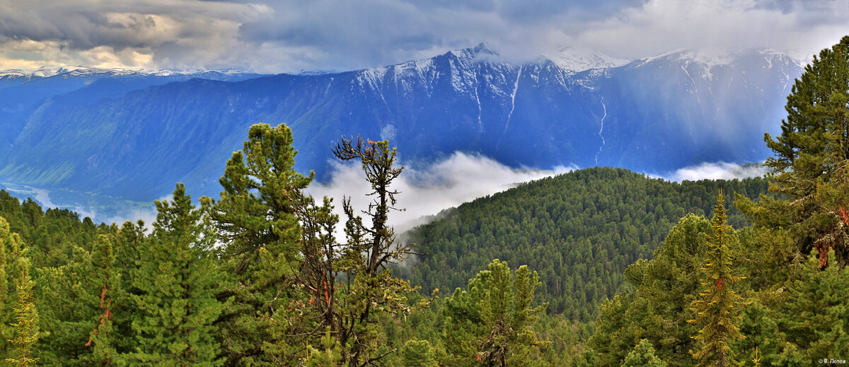 вид на Алтын-Туу, http://altyn-tuu.site