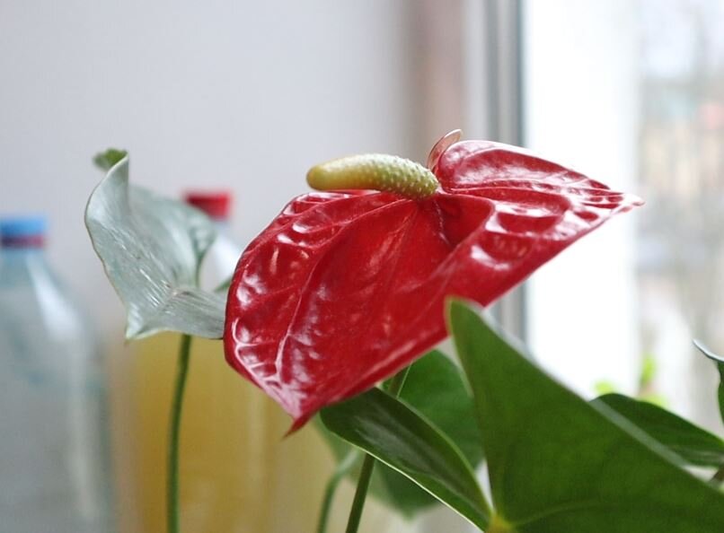 Фото из личного архива.