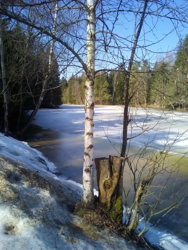 Наш пруд готов к зиме...