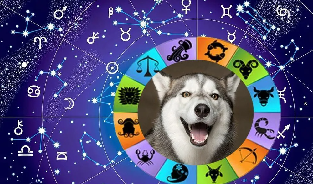 Яндекс картинки