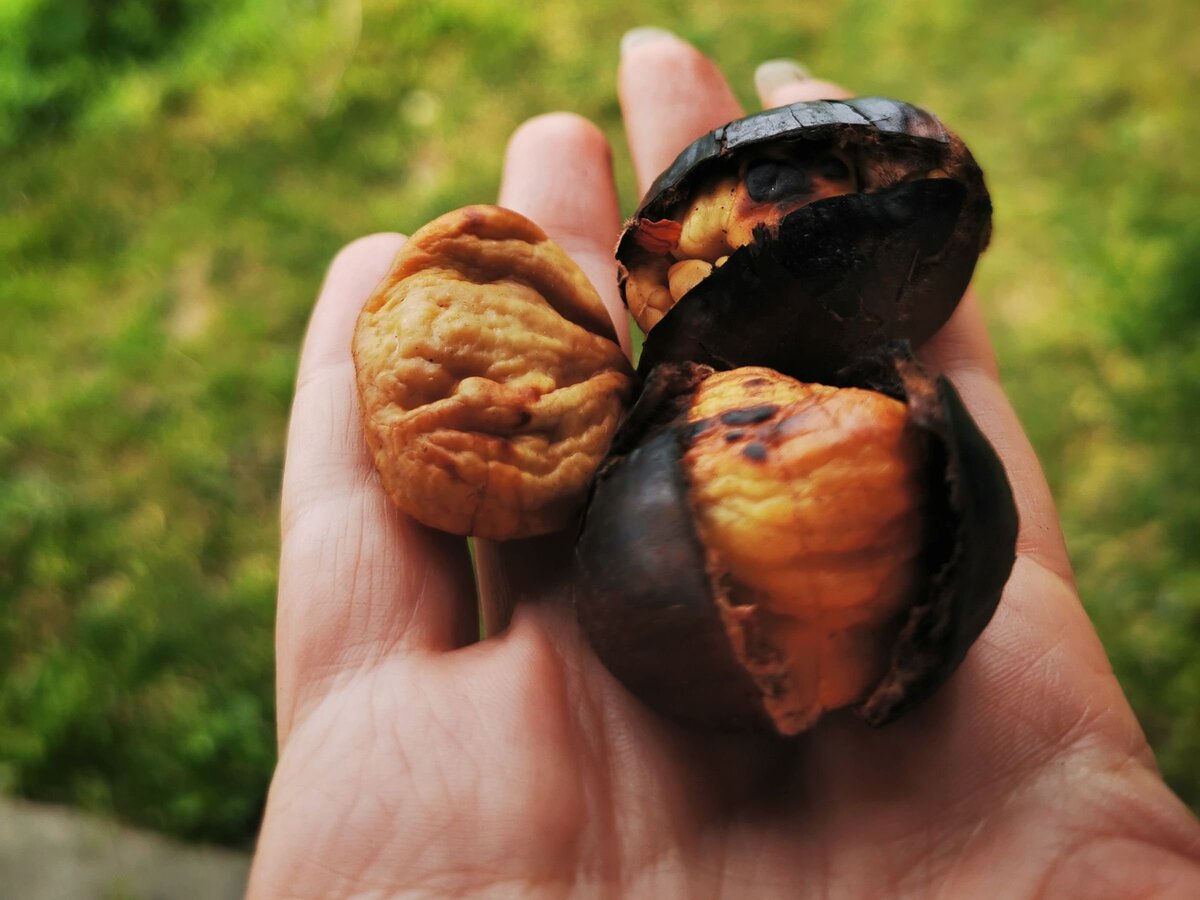 Вкус Стамбула на ладошке