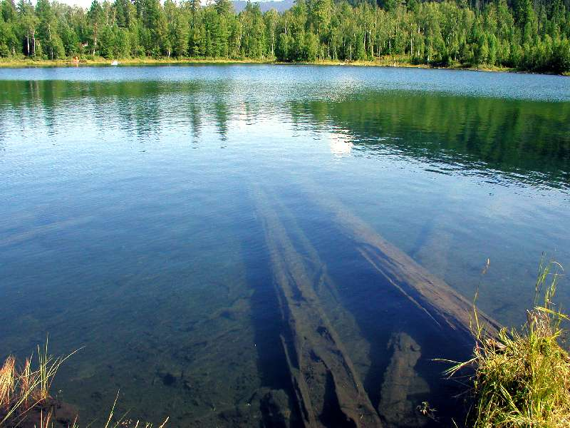 5 Озер в Муромцево Омская область. 5 Озёр в Омской области. Окунево Щучье озеро. Озеро Линево Омская область. Омск под водой