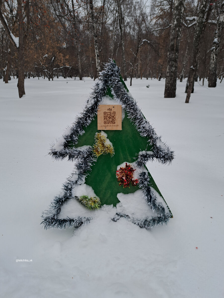 Ёлки в Березовой роще🎄 | Прогулки по городу N. | Дзен