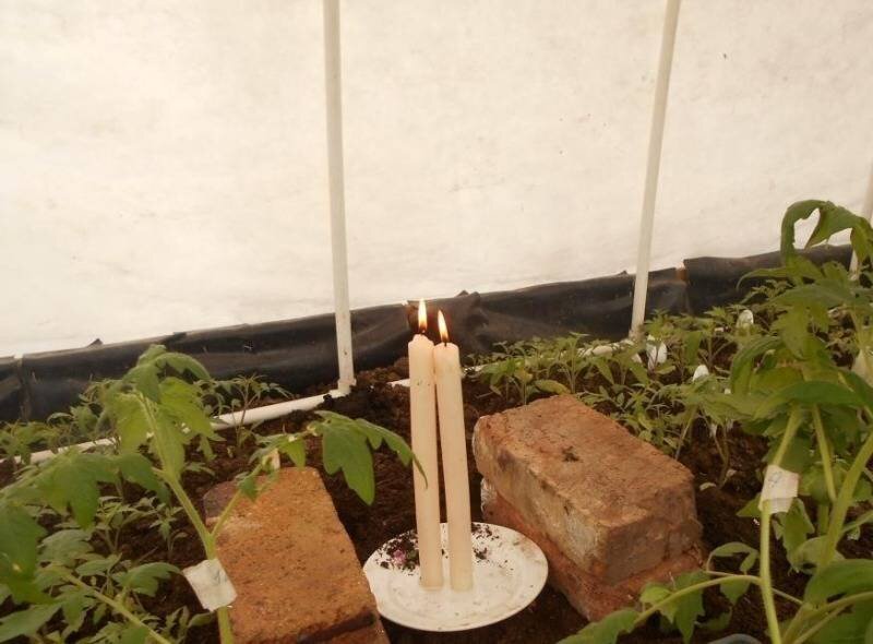 Источник: sezon-dacha.ru