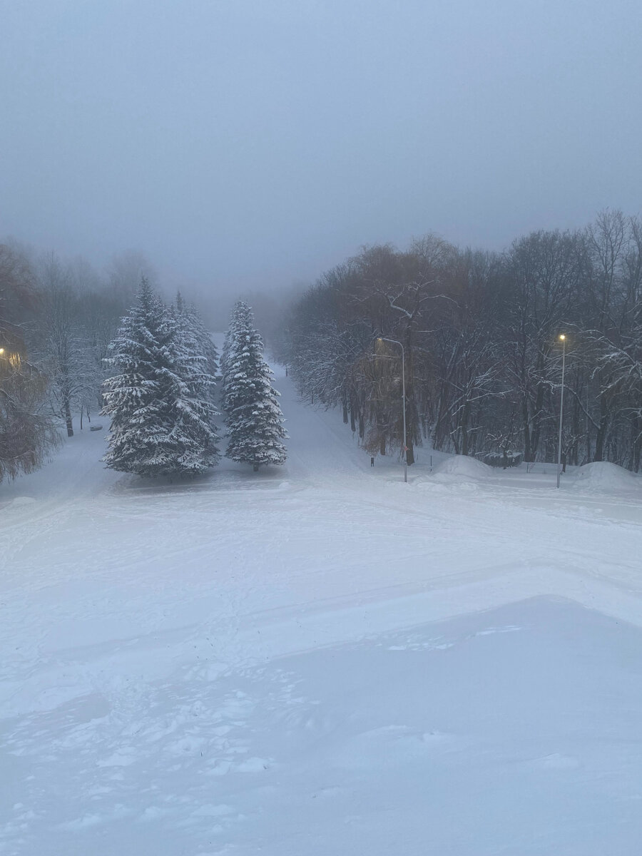 Метель, туман, пурга...