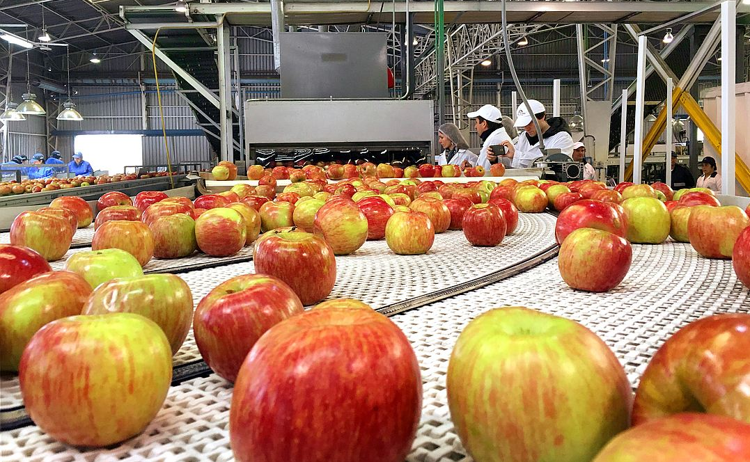 Фото: X5 Retail Group