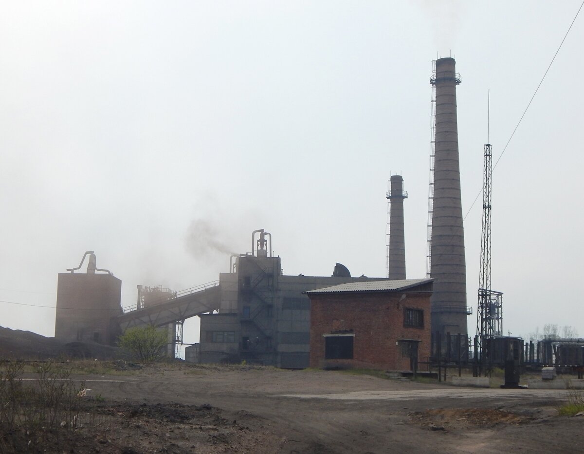 
Фотограф: Юлия Фурсова © Фотобанк Бабра
 