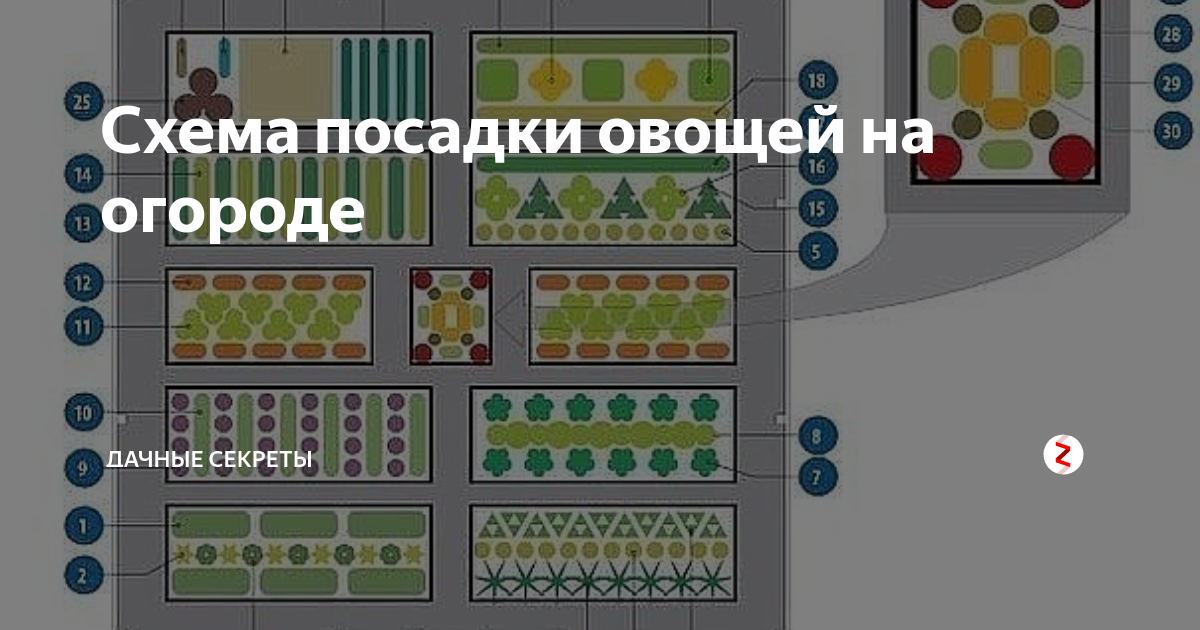 Схема посадки грядок на огороде