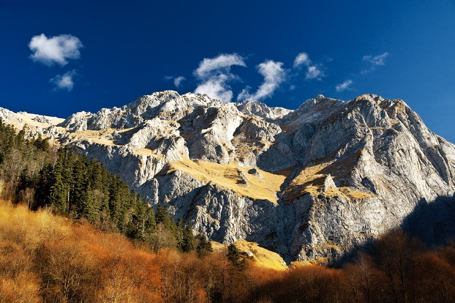 Адыгея Даховская осень скала