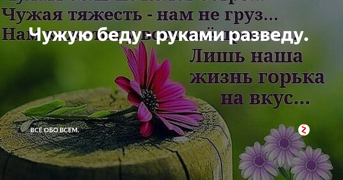 Чужую беду — руками разведу