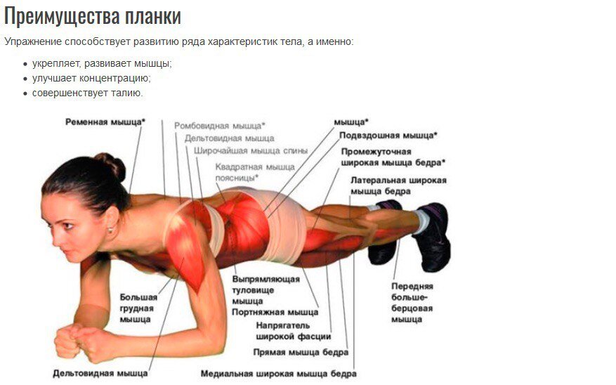 Какая позиция головы является правильной?