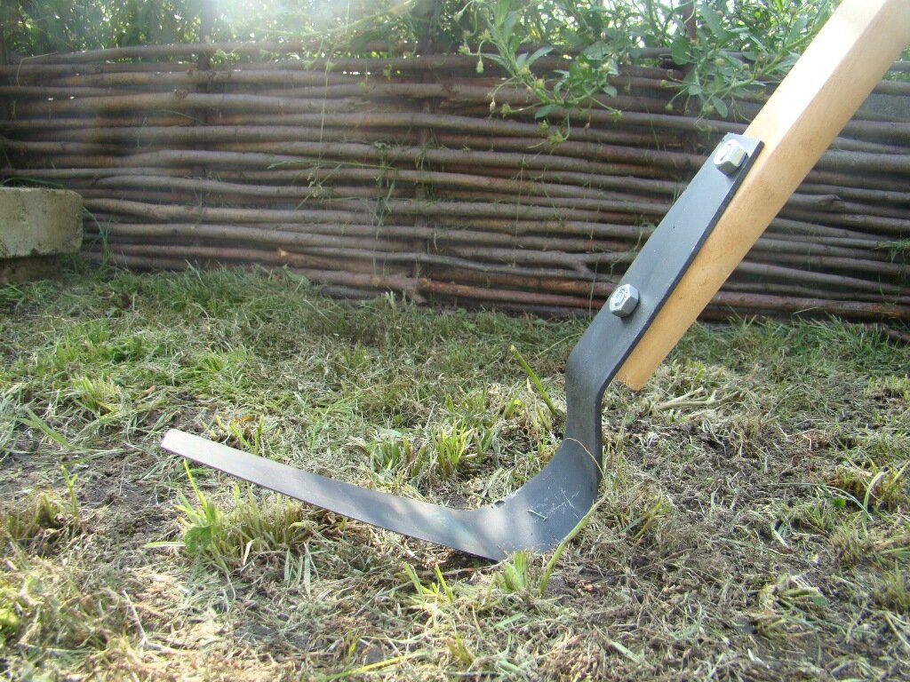 (Фото из интернета)