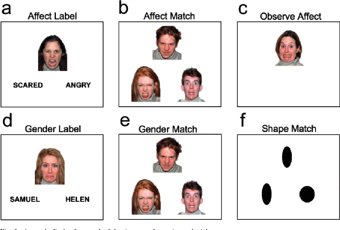 Источник: Putting Feelings Into Words Affect Labeling Disrupts Amygdala Activity in Response to Affective Stimuli