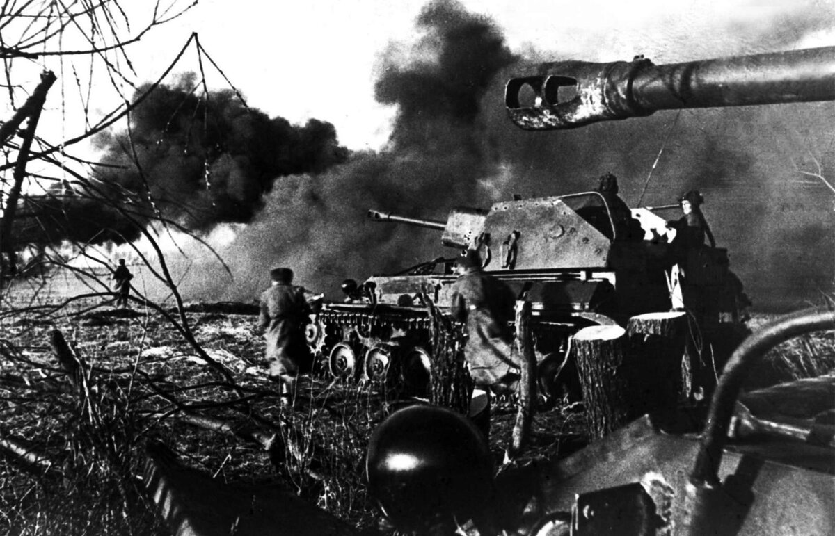Сражения 1944. Курляндский котел 1945. курляндский котёл фото 1945 г.. хальбский котёл апрель 1945 года. курляндский котел в 1944 году.
