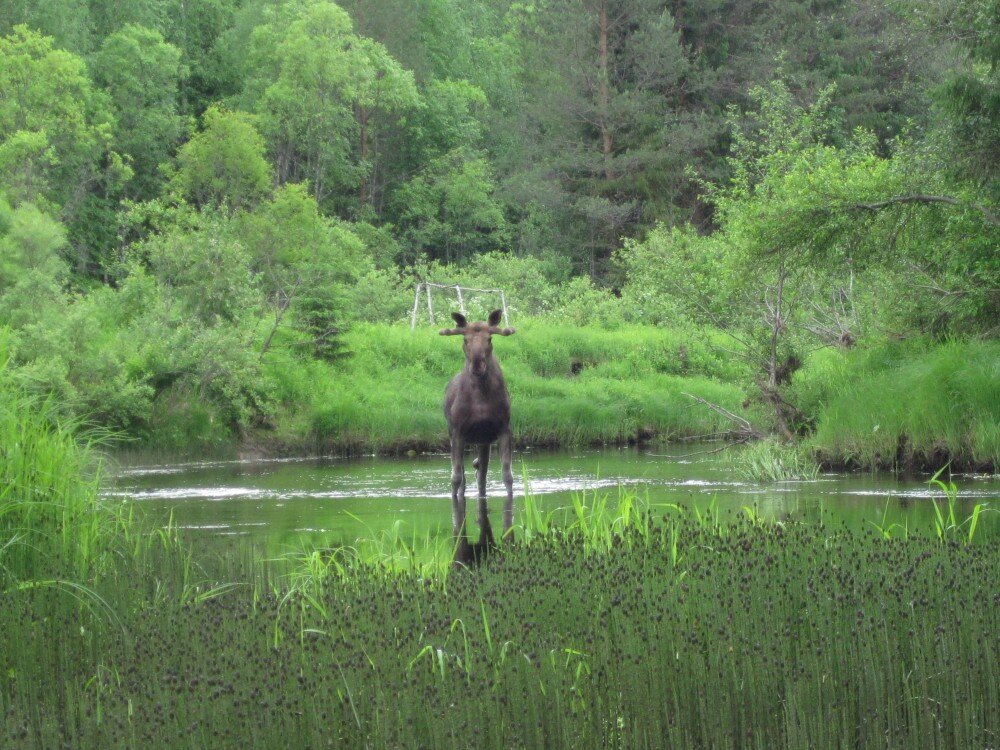 внезапно