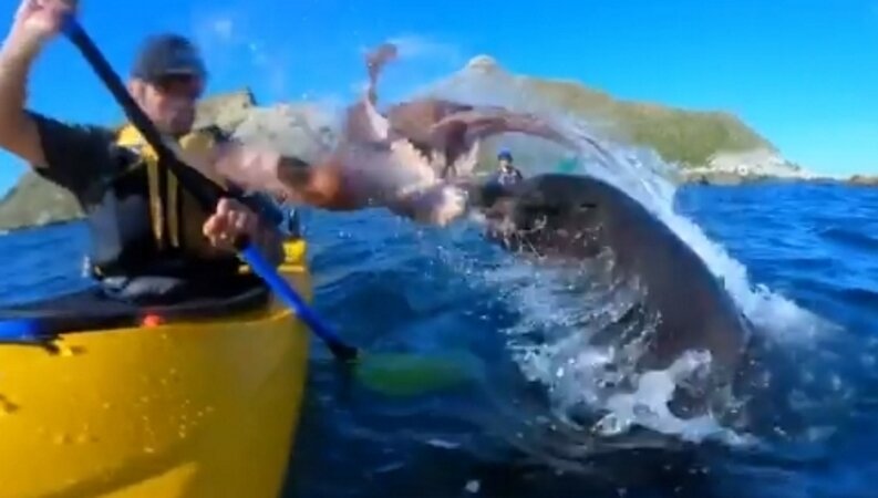 Фото: скриншот видео