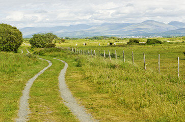 Прежде чем специалист приступит к процедуре обжалования, он должен получить от заинтересованной стороны заключительный акт предыдущих исследований. Предъявить данный документ можно как в бумажном, также и в электронном формате. Подобный запрос может поступить в экспертную организацию еще до назначения судебного разбирательства или же в судебном порядке. В последнем случае, чтобы добиться пересмотра существующего заключения, необходимо его предварительное обследование. Только после подобного обследования и установления несоответствий или же ошибок заинтересованная сторона должна обратиться с соответствующим ходатайством в судебный орган. На основании подобного обращения суд принимает решение о повторной экспертизе. 