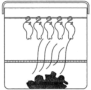 Коптильня своими руками: как сделать для холодного и горячего копчения