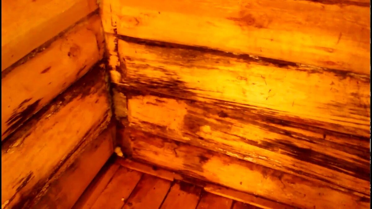 Этой бане всего год и она была построена под ключ