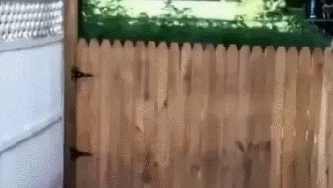 -3