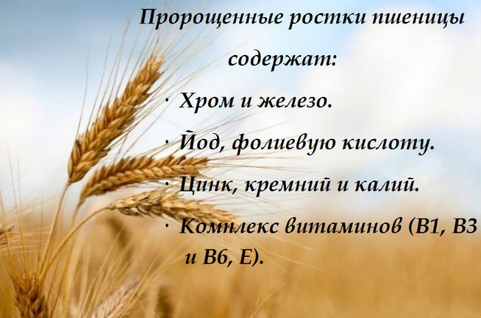 Масло пшеницы: полезные свойства, применения и польза для организма