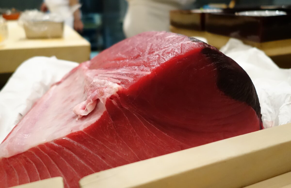 Голубой тунец: один из самых известных деликатесов Японии | kimonoimag.ru |  Дзен