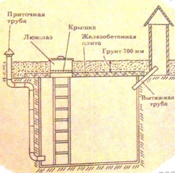 Конденсат в погребе: почему образуется и как от него избавиться?