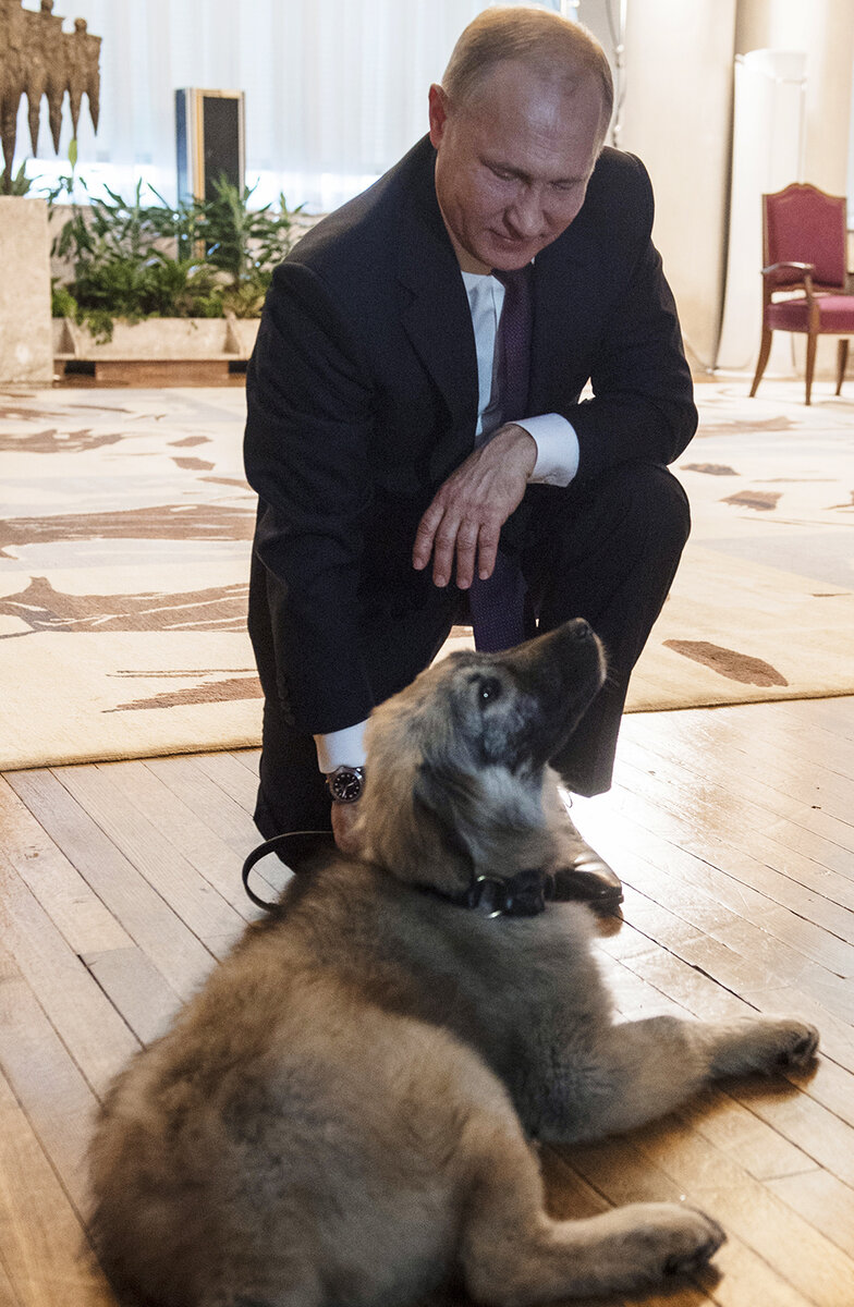 Фото путина с собакой