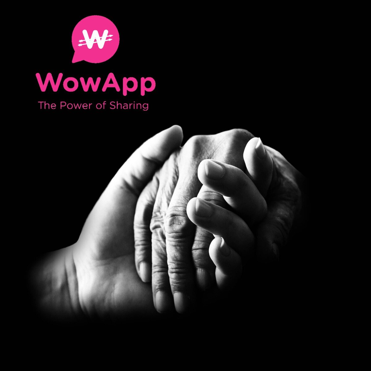 Благотворительная программа WowApp