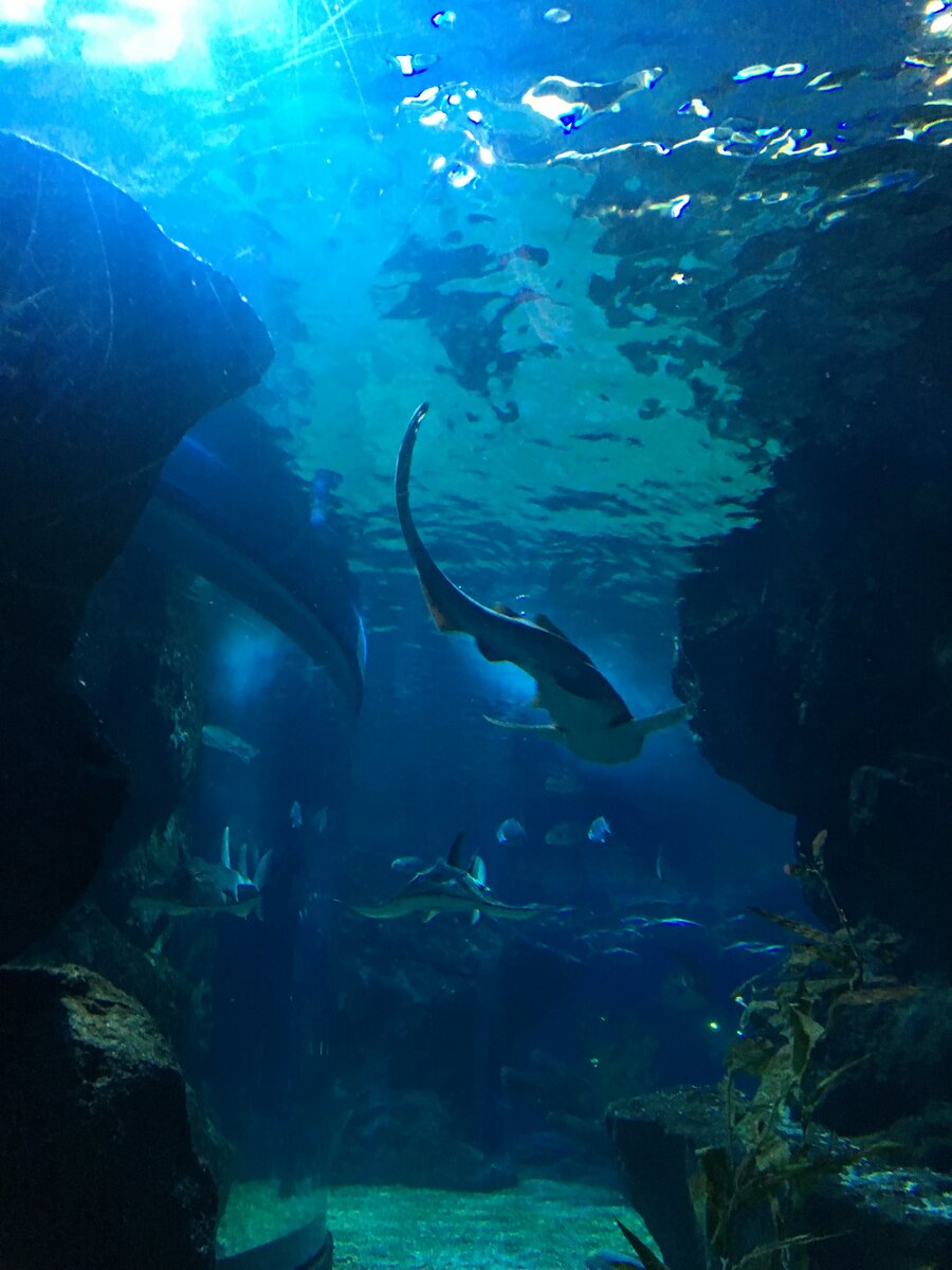 Эмоции зашкаливают, к тебе приходит осознание того, что ты видишь другую неизвестную вселенную о которой мы даже не думаем, что она с нами рядом.